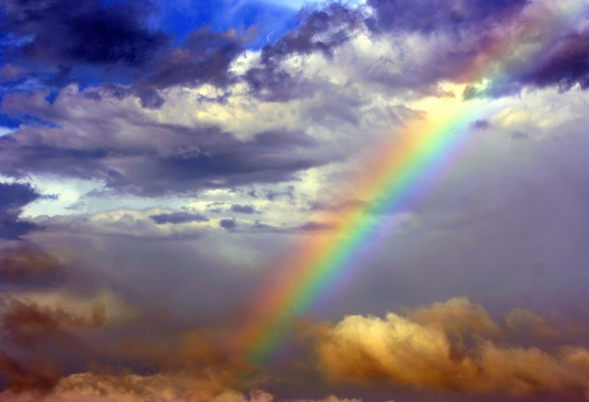 陰雲變晴天，風雨生信心 