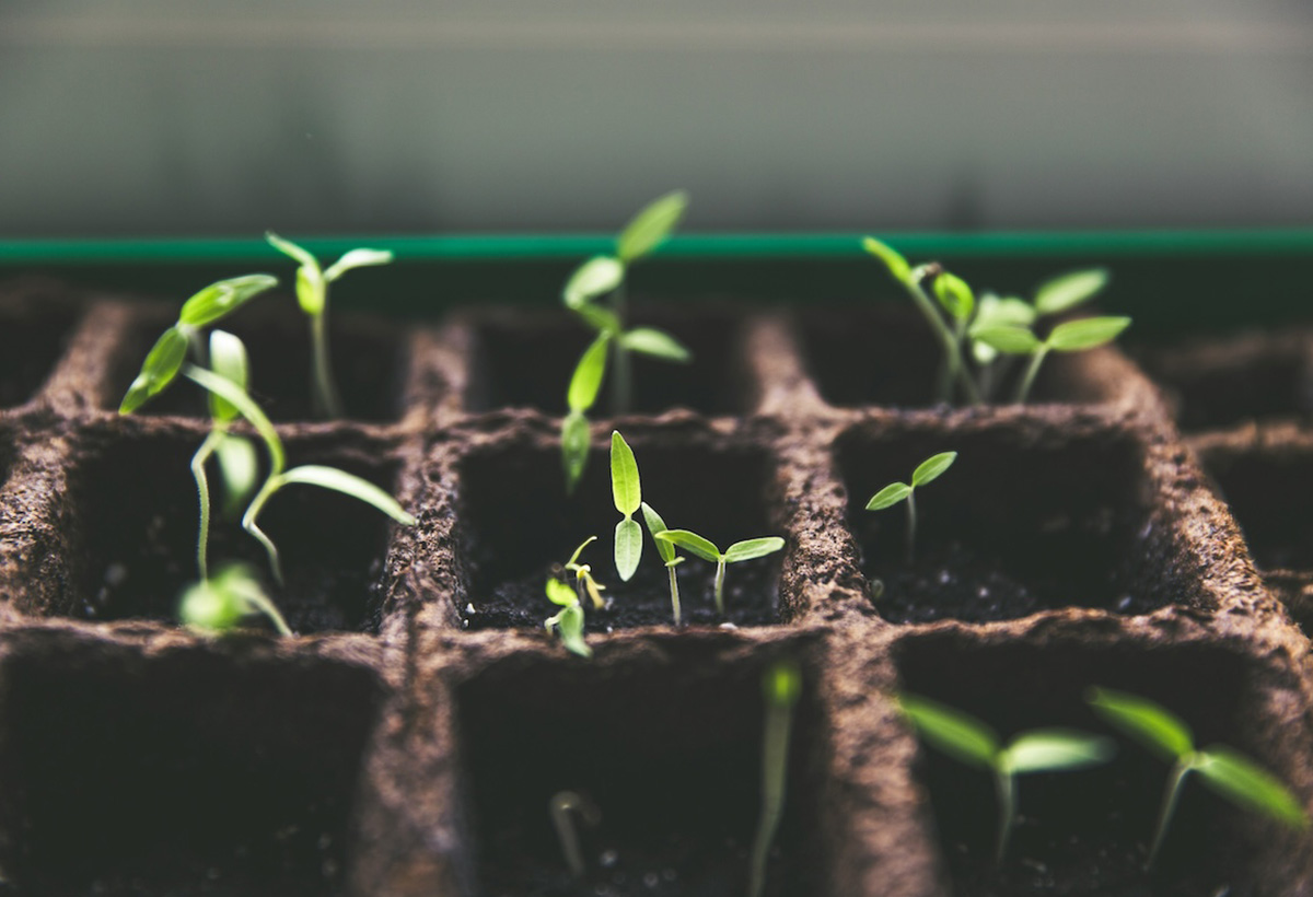 成為我異象——信主與蒙召見證