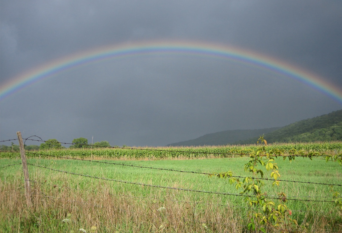 以巴衝突陰霾下的和平之光