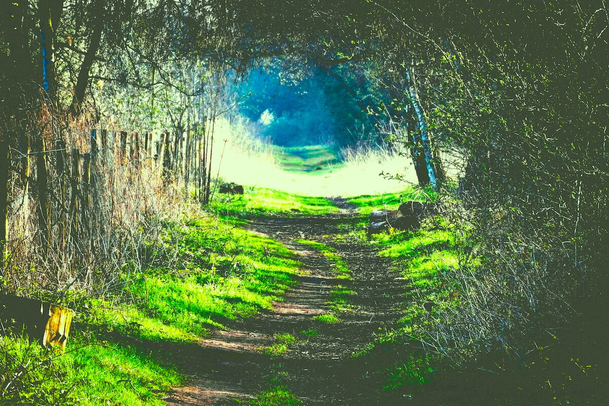 被真理尋見，為真理而行